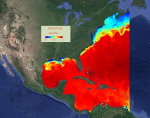 CNAPS salinity
